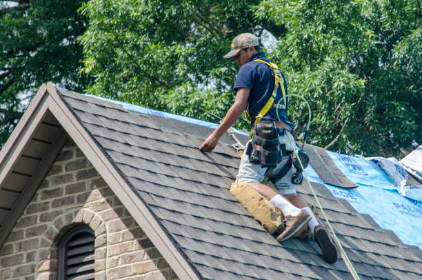 Best Residential Roofing Contractor  in Fort Branch, IN